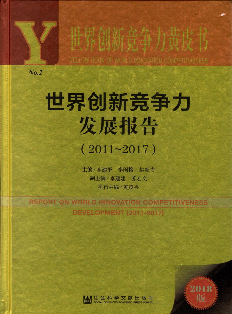 玩弄骚肉世界创新竞争力发展报告（2011-2017）